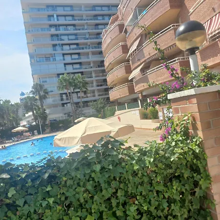 Marina Dort Acapulco I Primera Linea De Playa